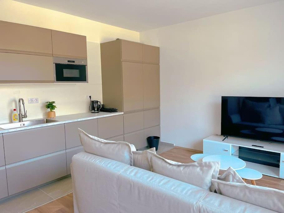 Apartment Spacious With Balcony And Garage